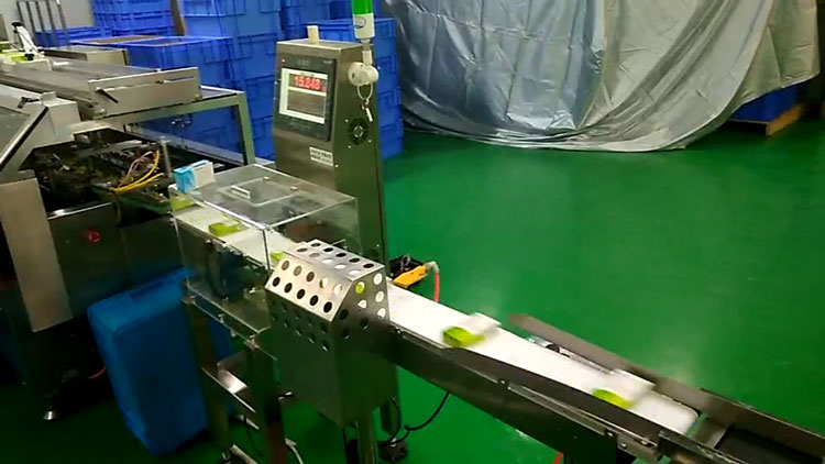 SeTAQ B301816型生產(chǎn)線稱重機(jī) 檢重儀 重量檢測秤